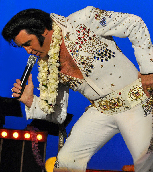 There’s an Elvis in my house!