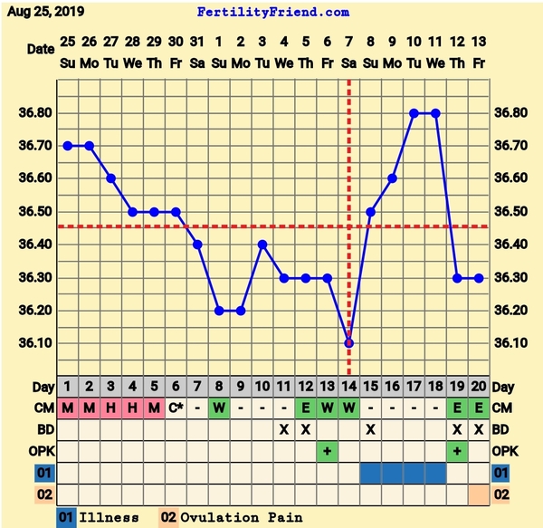 TTC after pregnancy loss 32 - the penguin huddle