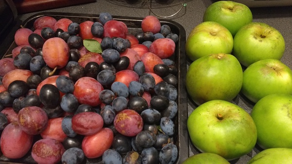 Had a Spendy Summer? Join the Friendly Frugaleers as we Segue Smoothly into a Sensible September