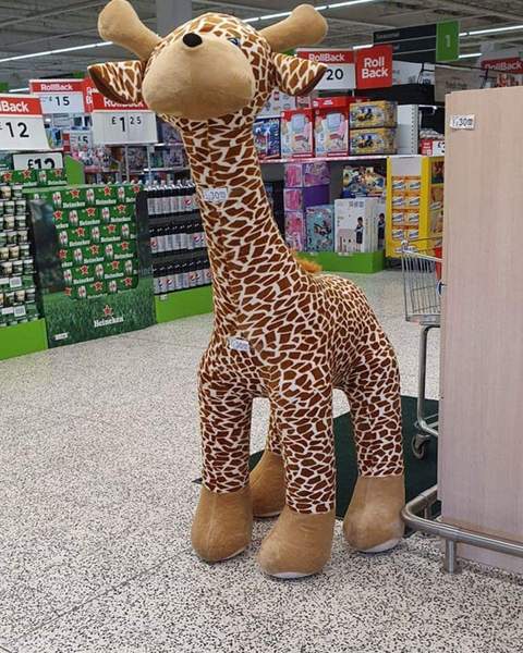 Thread 4 - a 6 foot giraffe?! Her name is Melvin