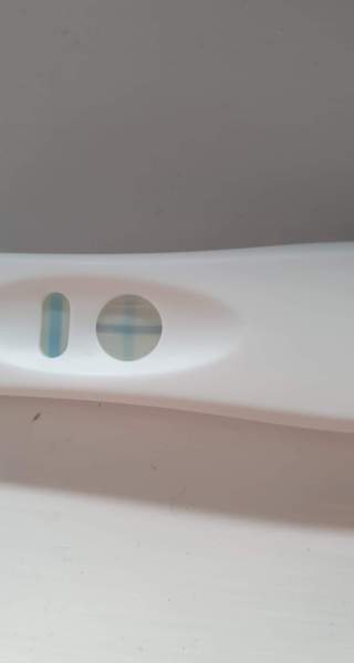 In a quandary... found out I am pregnant and don't know WTF to do...