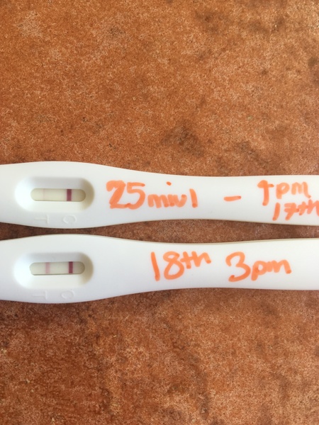 Best Pregnancy App?