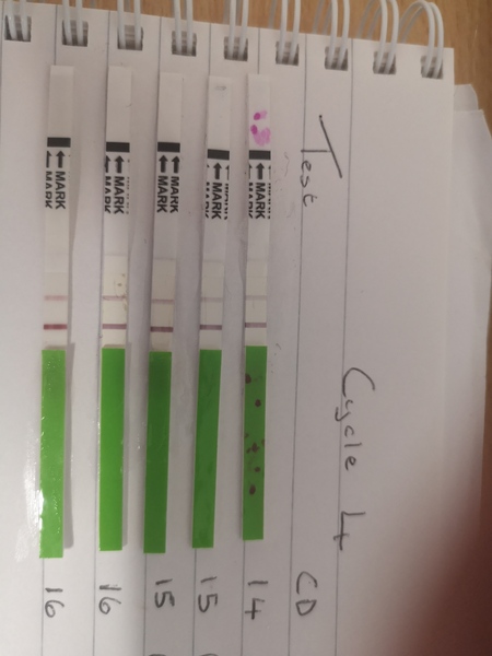 Ovulation Corner