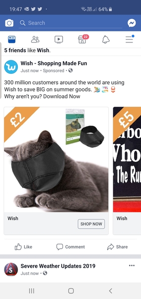 To ask what this item from wish is?