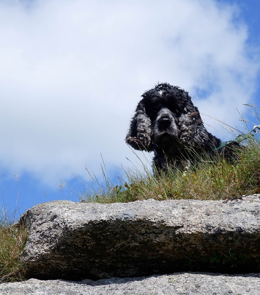 What do you use as an alarm clock?