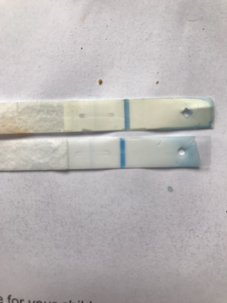 2 faint positives on pregnancy test but I have Mirena!