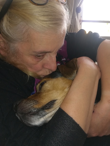 Bumbledog is terminally ill...