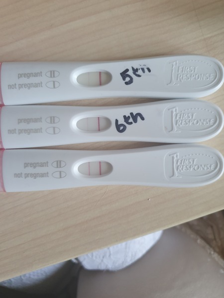 August/september ivf/icsi treatment