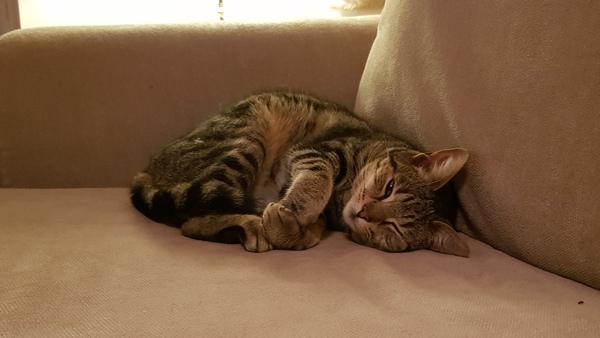 Westminstenders: What hangs in the balance?