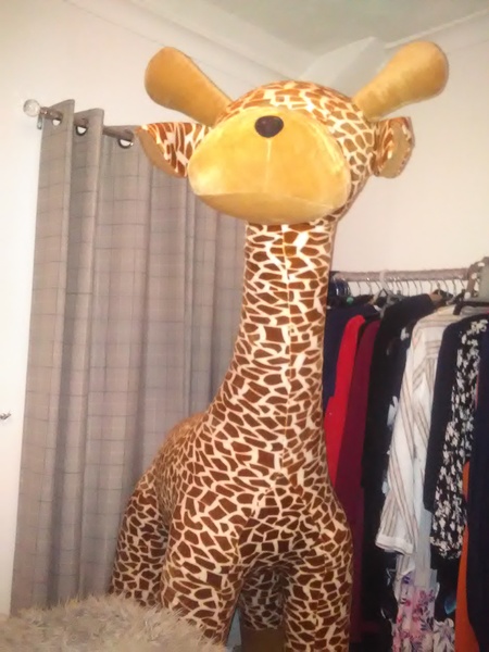 Thread 4 - a 6 foot giraffe?! Her name is Melvin