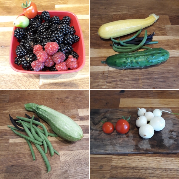 Allotment/Veg Patch Thread 14 ! growing into summer