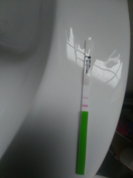 Fresh off the mini pill today-hoping for BFP Oct/Nov 2019 for a Summer 2020 Baby. NEED A BUDDY?