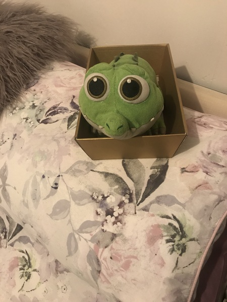 Do I need a padded room or does any of my fellow mumsnettters still have teddies?