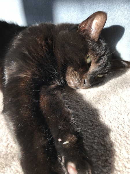 Westministenders: Conference Cult