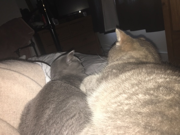 Wankerbastards and summer sunshine will make us want the bloody wine. But tryers to be dryers won't give up, and ice cold becks blue we will sup.