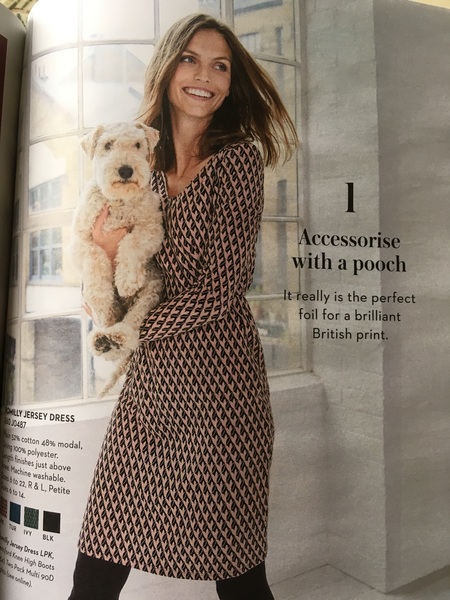 Boden - is a dog just for A/W now?