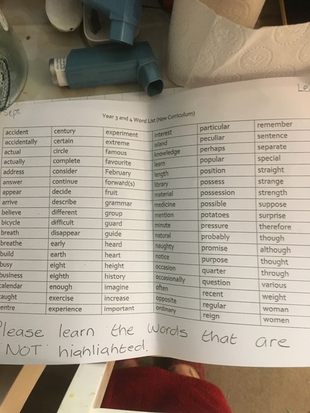 What to I do/say about this? Primary school literacy