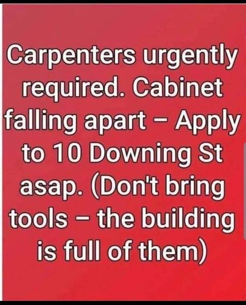 Westminstenders: "I don't give a flying flamingo"