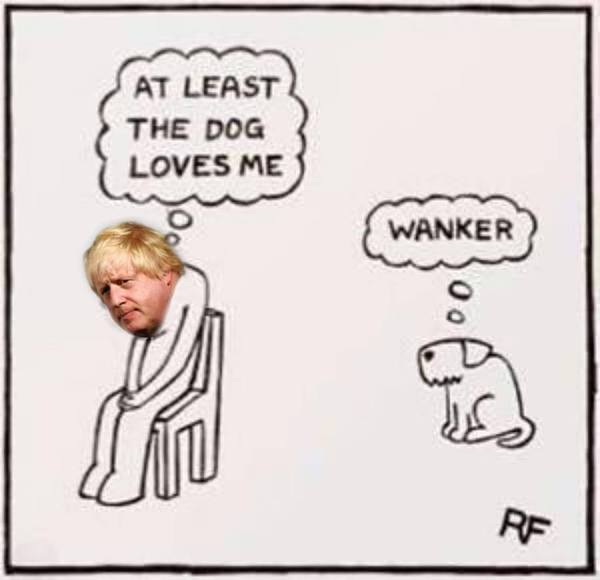 omg I'm in love with Dilyn - No.10's new dog (pic)