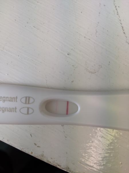 Could I be pregnant after miscarriage?