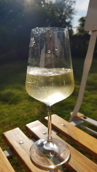 To go and buy a bottle of fizz to enjoy solo in my sunny garden?