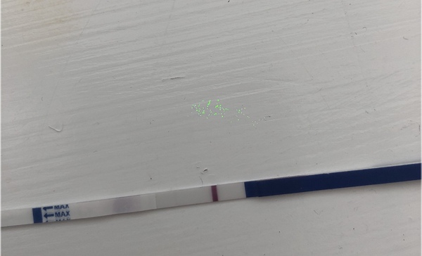 TTC 1st Baby. Keep positive thread. Please join