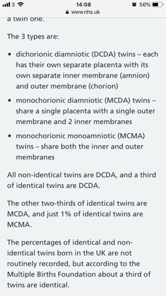 Maternity leave - twin pregnancies