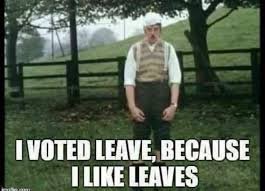 To tell you why I voted to leave