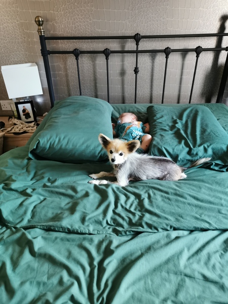 AIBU to post a happy picture