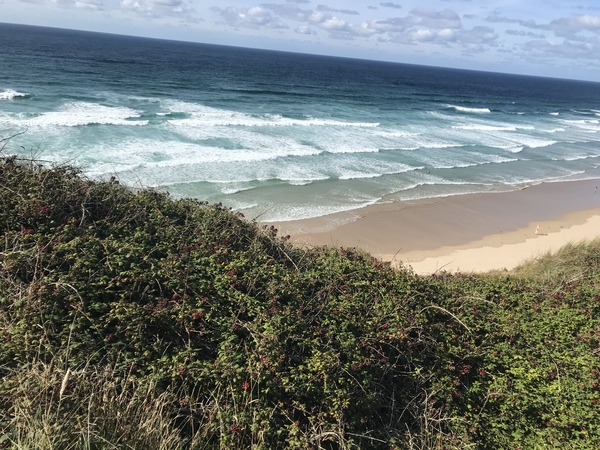 50 Book Challenge 2019 Part Six