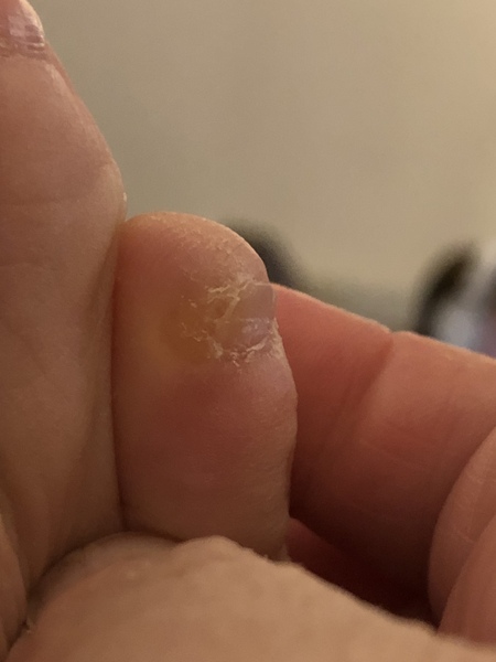 What could this be?