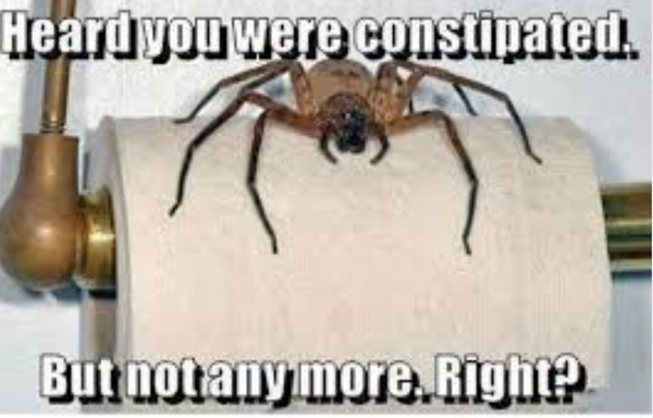 Westminstenders: The House Is On Fire