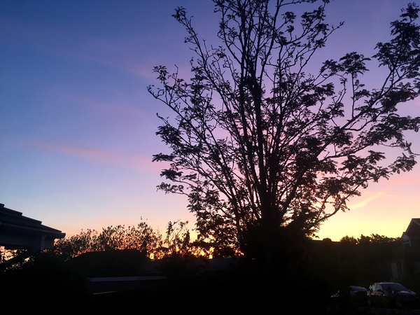 Any Witches Here? Part 9.