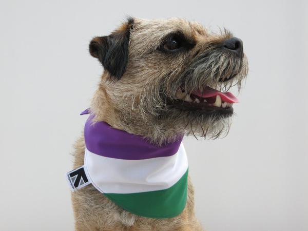 So I just googled green white and purple flag...