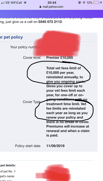 Insurance for Cats