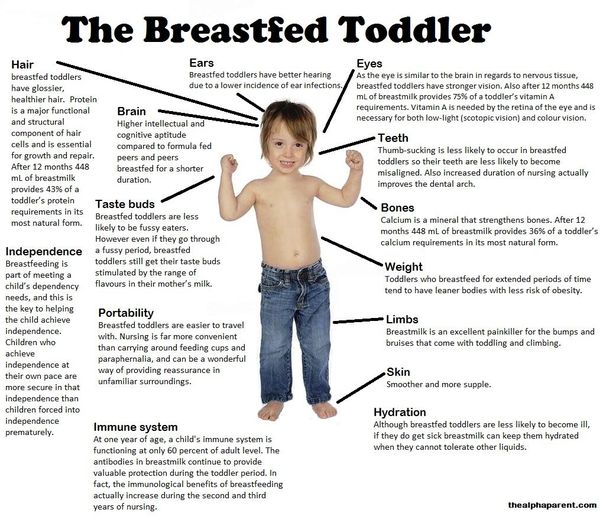 Any breastfeeding pregnant mums?