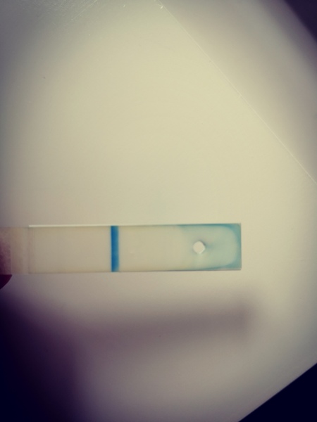 Is this a bfp?