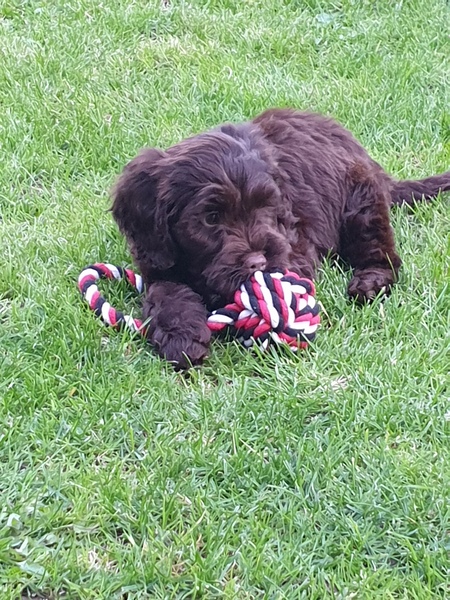 Westminstenders: What hangs in the balance?