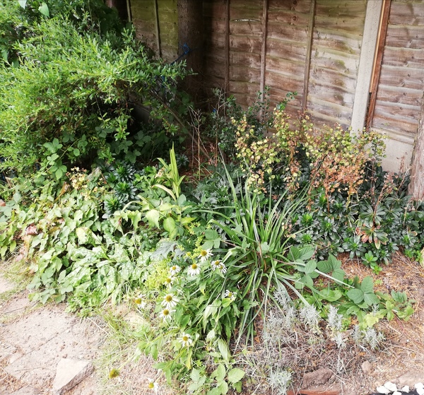 Help needed redesigning my garden beds and having a move around!