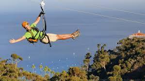 Westminstenders: "I don't give a flying flamingo"