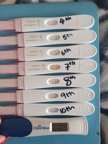August/september ivf/icsi treatment