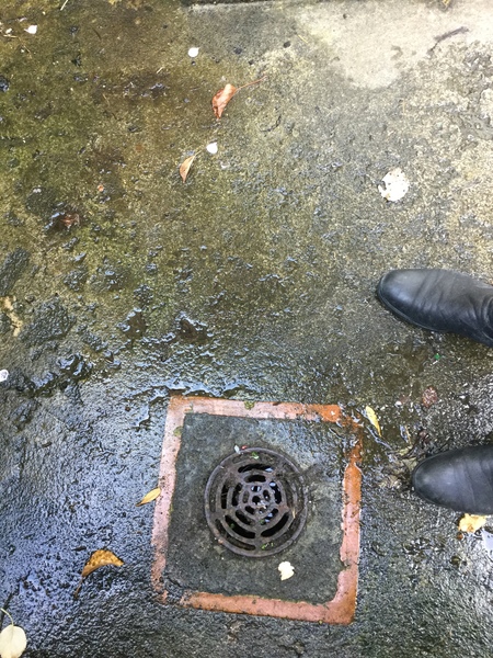 damp- probably multiple kinds! any help welcome
