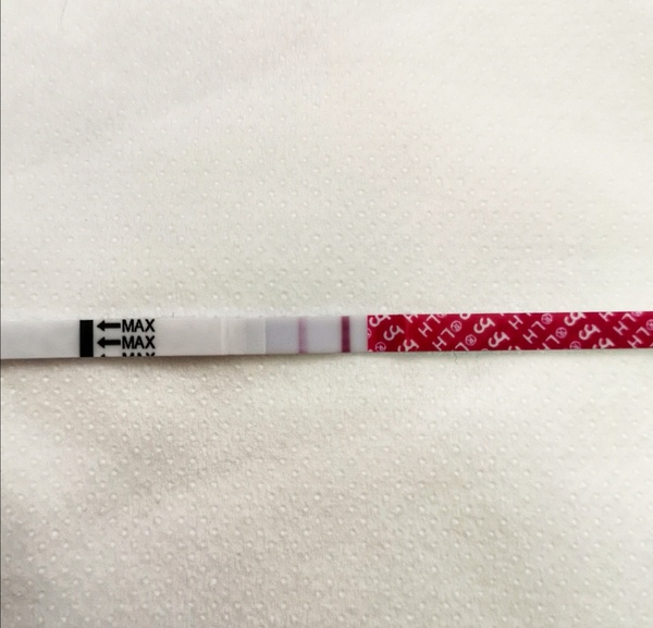 First Pregnancy Missed Miscarriage (Part 4)