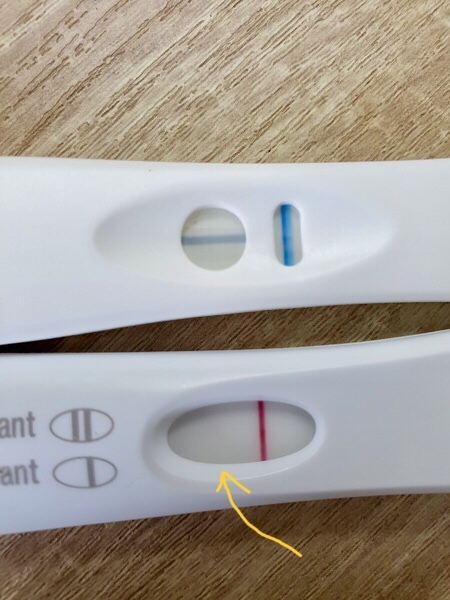 Early positive pregnancy test