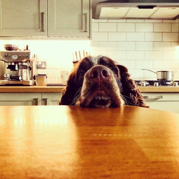 Show me your kitchen tiles (please)