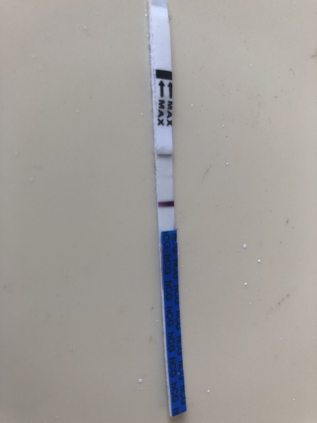 Bfp or evap?