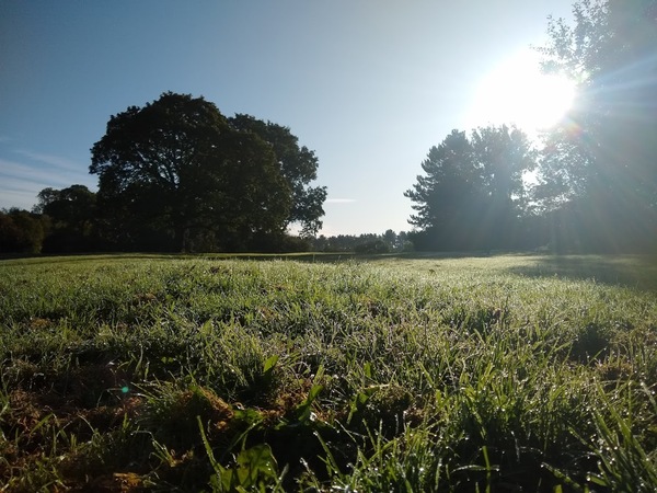 Winter 2019/20 forecast