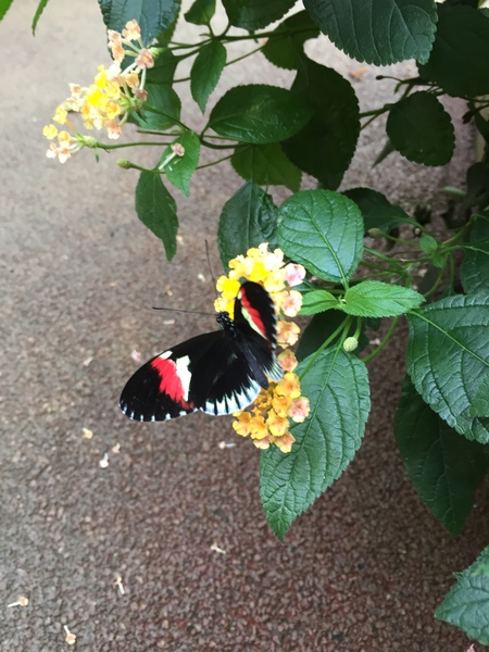 Had a Spendy Summer? Join the Friendly Frugaleers as we Segue Smoothly into a Sensible September