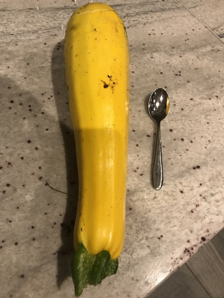 5:2 Thread number 86: Weight loss doesn't begin in the kitchen or the gym; it starts in your head with a decision to go for it !