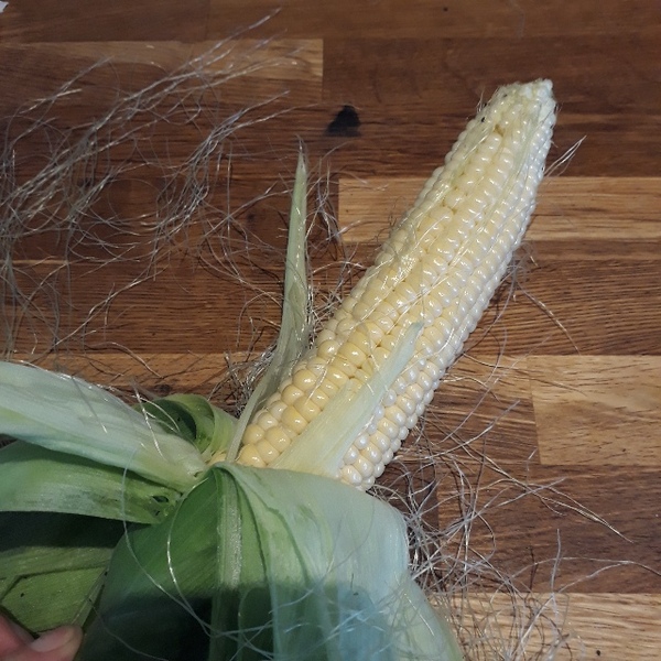 Allotment/Veg Patch Thread 14 ! growing into summer